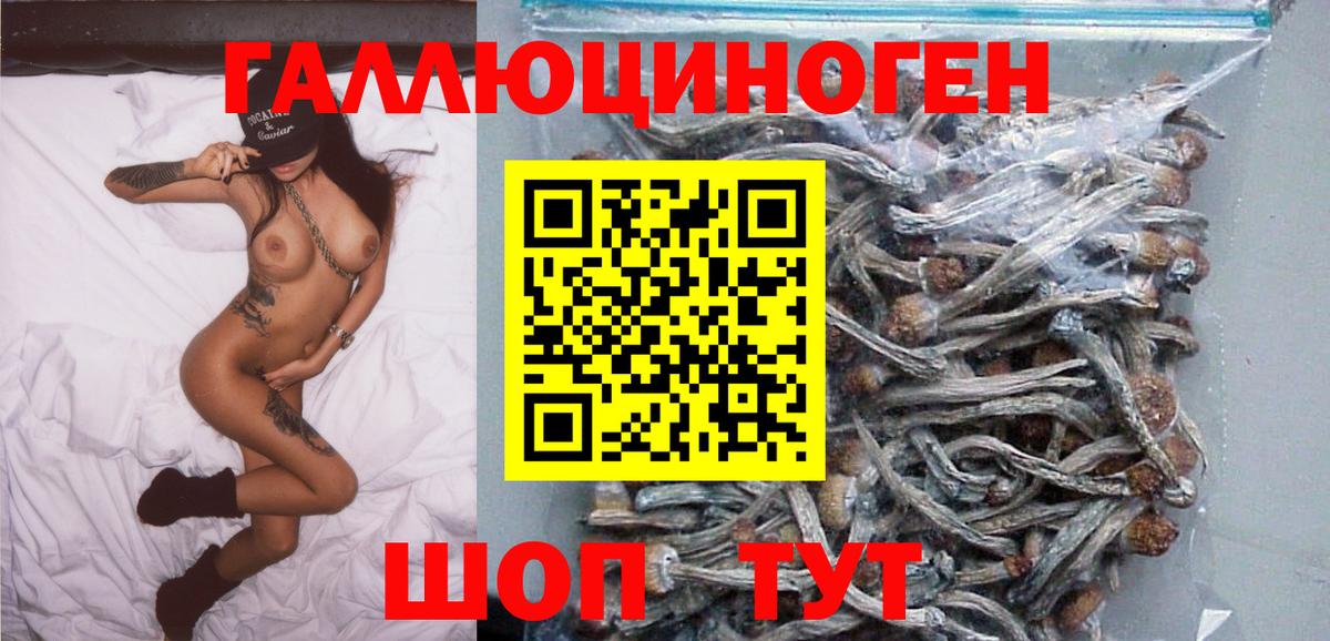 Псилоцибиновые грибы прущие грибы  Вход с VPN  Галлюциногенные грибы Magic Shrooms  Новочеркасск 