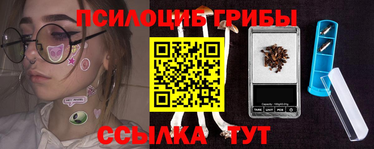 Псилоцибиновые грибы Psilocybe Новочеркасск
